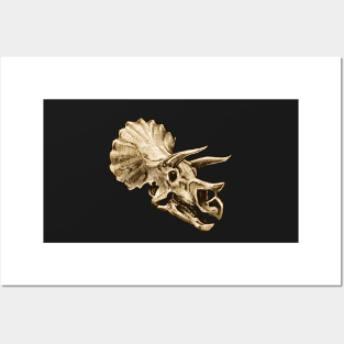 Dinosaur Skull Triceratops 2 Sticker Posters and Art